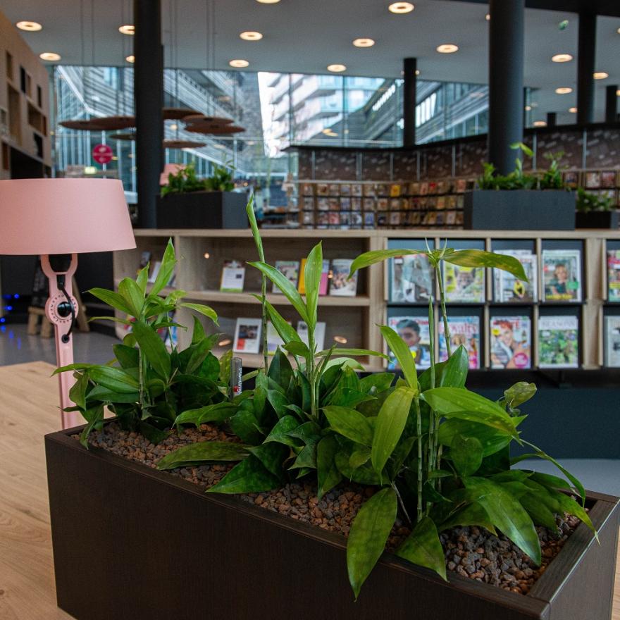 Belangrijke Gegevens De Nieuwe Bibliotheek | De Nieuwe Bibliotheek